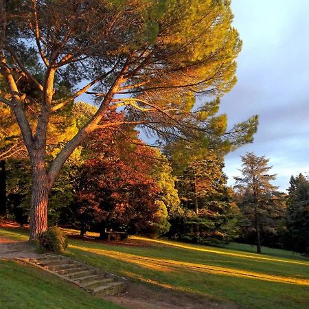 Domaine de Gailhaguet B&B Verfeil (Haute-Garonne) Exterior foto