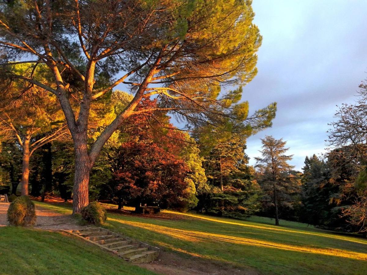 Domaine de Gailhaguet B&B Verfeil (Haute-Garonne) Exterior foto